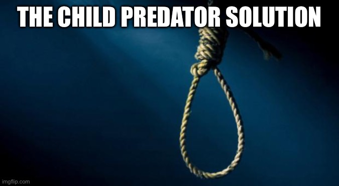 Noose | THE CHILD PREDATOR SOLUTION | image tagged in noose | made w/ Imgflip meme maker