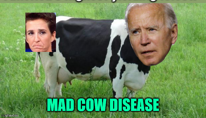 MAD COW DISEASE | made w/ Imgflip meme maker