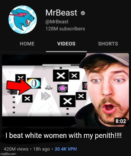 MrBeast thumbnail template | I beat white women with my penith!!!! | image tagged in mrbeast thumbnail template | made w/ Imgflip meme maker
