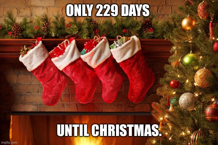 Only 229 days until Christmas | ONLY 229 DAYS; UNTIL CHRISTMAS. | image tagged in christmas stockings | made w/ Imgflip meme maker