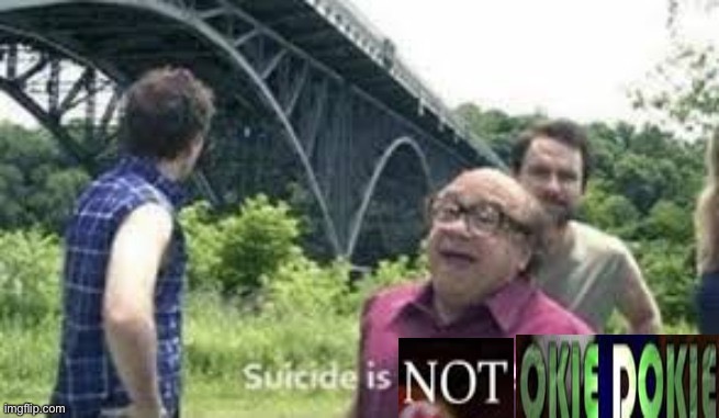 Suicide is not okie dokie | image tagged in suicide is not okie dokie | made w/ Imgflip meme maker