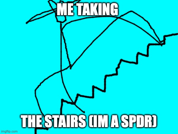 wowowoowoww | ME TAKING THE STAIRS (IM A SPDR) | made w/ Imgflip meme maker