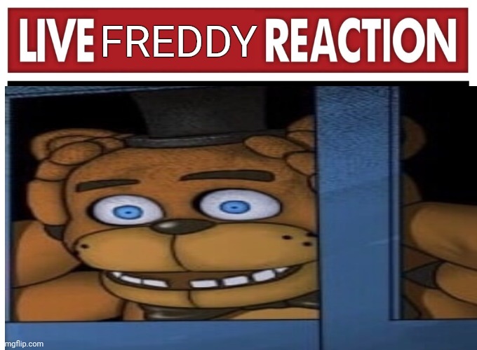 F R E D D Y | FREDDY | image tagged in live reaction,fnaf | made w/ Imgflip meme maker