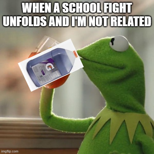 But That's None Of My Business Meme | WHEN A SCHOOL FIGHT UNFOLDS AND I'M NOT RELATED | image tagged in memes,but that's none of my business,kermit the frog | made w/ Imgflip meme maker