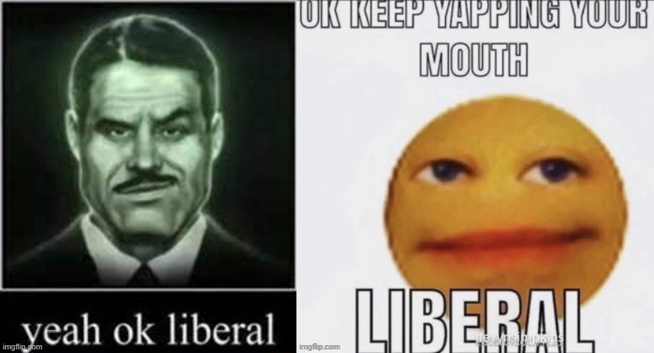 image tagged in yeah ok liberal,ok keep yapping your mouth liberal | made w/ Imgflip meme maker