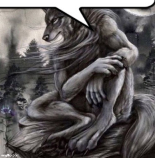 Alpha wolf | image tagged in alpha wolf | made w/ Imgflip meme maker