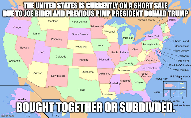 If America was facing a short sale | THE UNITED STATES IS CURRENTLY ON A SHORT SALE DUE TO JOE BIDEN AND PREVIOUS PIMP PRESIDENT DONALD TRUMP; BOUGHT TOGETHER OR SUBDIVDED. | image tagged in donald trump approves,joe biden,2024,united states of america,short sale,foreclosure | made w/ Imgflip meme maker