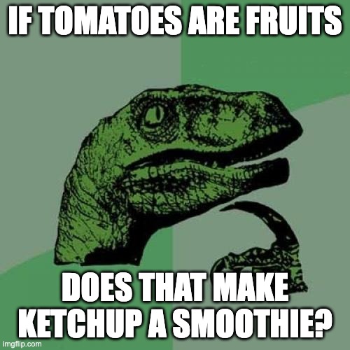 Philosoraptor Meme | IF TOMATOES ARE FRUITS; DOES THAT MAKE KETCHUP A SMOOTHIE? | image tagged in memes,philosoraptor | made w/ Imgflip meme maker