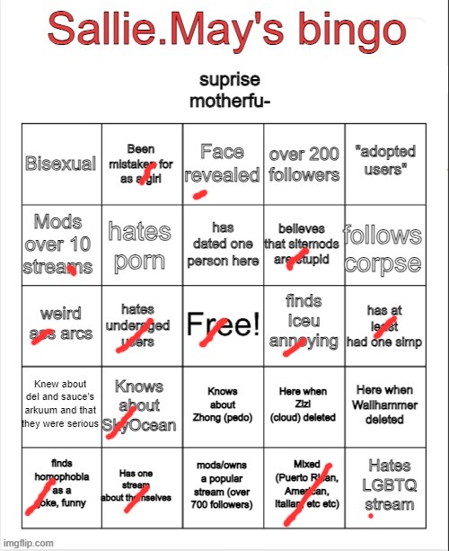 Sallie.May's bingo | image tagged in sallie may's bingo | made w/ Imgflip meme maker