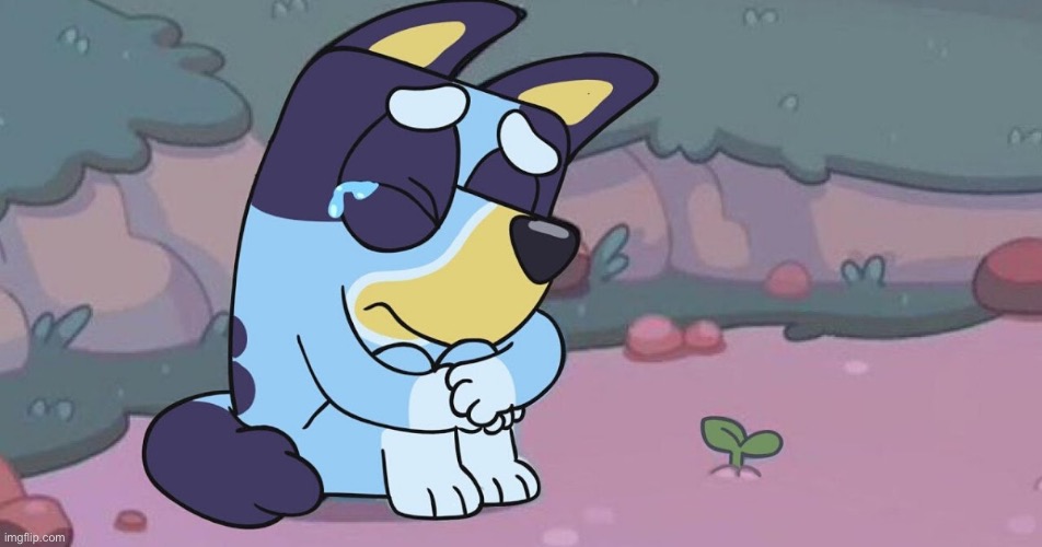 Sad Bluey | image tagged in sad bluey | made w/ Imgflip meme maker