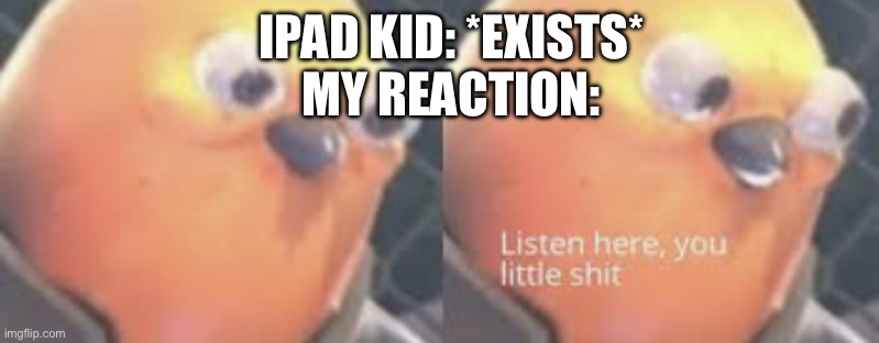 Listen here you little shit bird | IPAD KID: *EXISTS*
MY REACTION: | image tagged in listen here you little shit bird | made w/ Imgflip meme maker