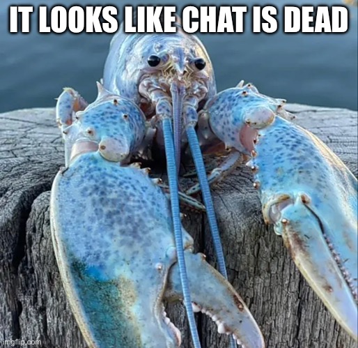 The Blue Lobster | IT LOOKS LIKE CHAT IS DEAD | image tagged in the blue lobster | made w/ Imgflip meme maker