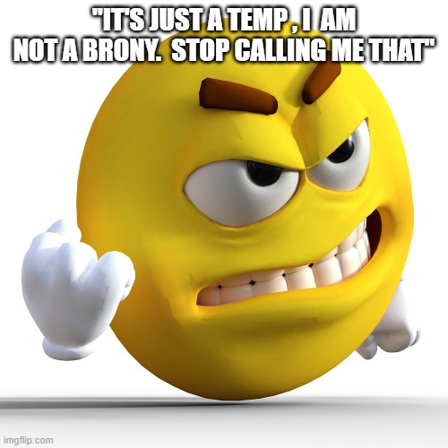. | "IT'S JUST A TEMP , I  AM NOT A BRONY.  STOP CALLING ME THAT" | made w/ Imgflip meme maker