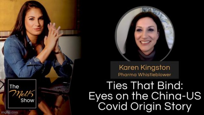 Mel K & Karen Kingston: Ties That Bind: Eyes on the China-US COVID Origin Story  (Video) 