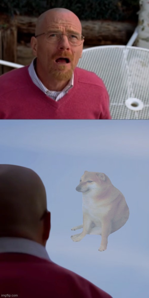 i missed this dog | image tagged in walter white staring,cheems | made w/ Imgflip meme maker