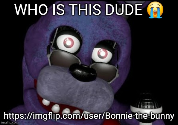 goofster 2 | WHO IS THIS DUDE 😭; https://imgflip.com/user/Bonnie-the-bunny | image tagged in goofster 2 | made w/ Imgflip meme maker