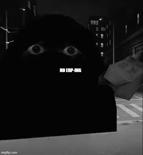 NO ERP-ING | made w/ Imgflip meme maker
