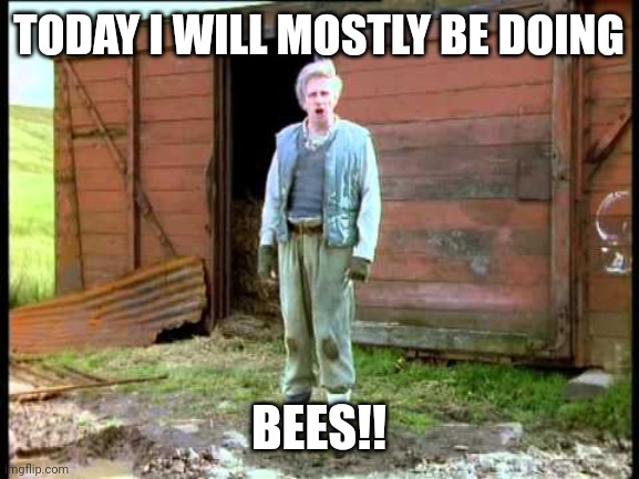 Today I will mostly.... | TODAY I WILL MOSTLY BE DOING; BEES!! | image tagged in jesse fast show | made w/ Imgflip meme maker