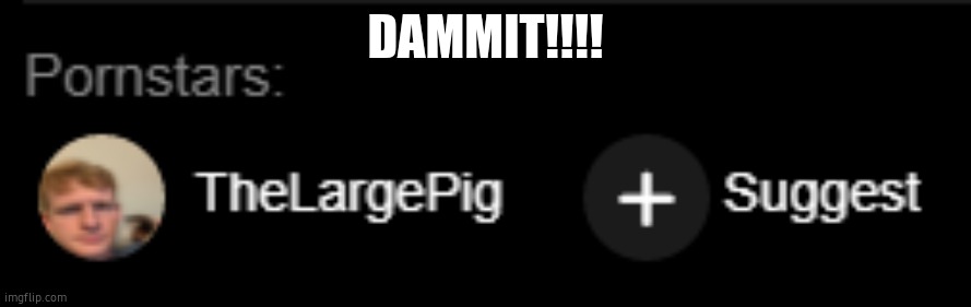 THELARGEPIG ON PHUB????? | DAMMIT!!!! | image tagged in thelargepig on phub | made w/ Imgflip meme maker