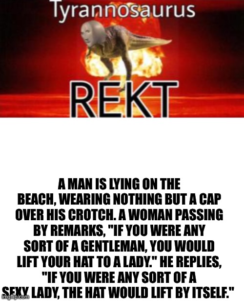 A MAN IS LYING ON THE BEACH, WEARING NOTHING BUT A CAP OVER HIS CROTCH. A WOMAN PASSING BY REMARKS, "IF YOU WERE ANY SORT OF A GENTLEMAN, YOU WOULD LIFT YOUR HAT TO A LADY." HE REPLIES, "IF YOU WERE ANY SORT OF A SEXY LADY, THE HAT WOULD LIFT BY ITSELF." | image tagged in tyrannosaurus rekt,blank white template | made w/ Imgflip meme maker