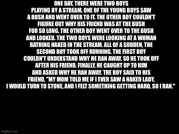 ONE DAY, THERE WERE TWO BOYS PLAYING BY A STREAM. ONE OF THE YOUNG BOYS SAW A BUSH AND WENT OVER TO IT. THE OTHER BOY COULDN'T FIGURE OUT WHY HIS FRIEND WAS AT THE BUSH FOR SO LONG. THE OTHER BOY WENT OVER TO THE BUSH AND LOOKED. THE TWO BOYS WERE LOOKING AT A WOMAN BATHING NAKED IN THE STREAM. ALL OF A SUDDEN, THE SECOND BOY TOOK OFF RUNNING. THE FIRST BOY COULDN'T UNDERSTAND WHY HE RAN AWAY, SO HE TOOK OFF AFTER HIS FRIEND. FINALLY, HE CAUGHT UP TO HIM AND ASKED WHY HE RAN AWAY. THE BOY SAID TO HIS FRIEND, "MY MOM TOLD ME IF I EVER SAW A NAKED LADY, I WOULD TURN TO STONE, AND I FELT SOMETHING GETTING HARD, SO I RAN." | made w/ Imgflip meme maker