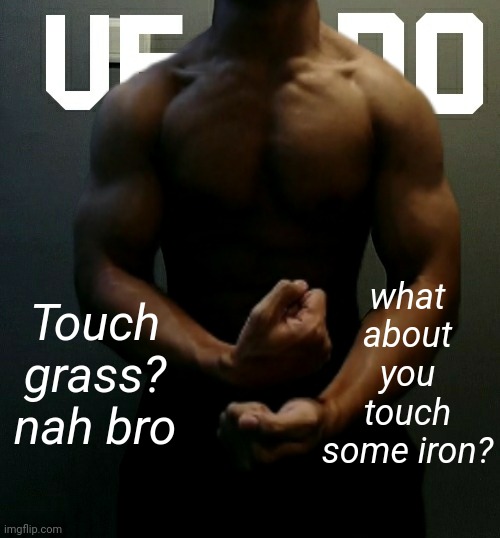 maybe even lift it | Touch grass? nah bro; what about you touch some iron? | image tagged in veno akifhaziq temp | made w/ Imgflip meme maker