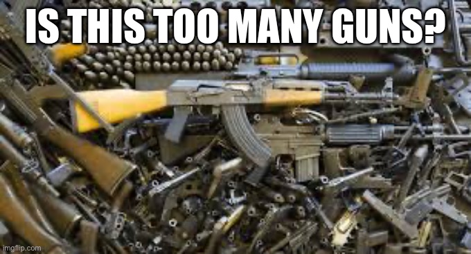 IS THIS TOO MANY GUNS? | made w/ Imgflip meme maker