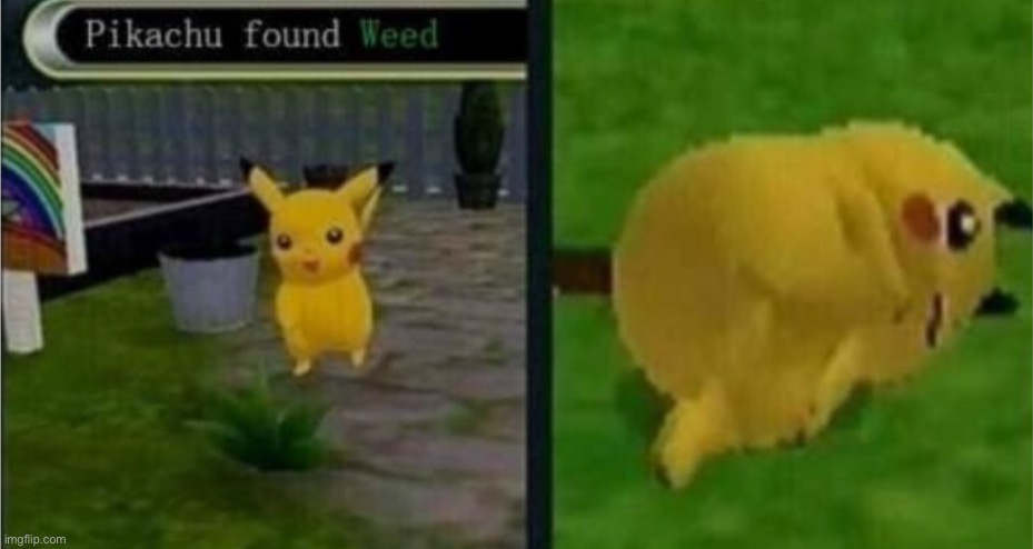 PIKACHU NO! | image tagged in pikachu | made w/ Imgflip meme maker