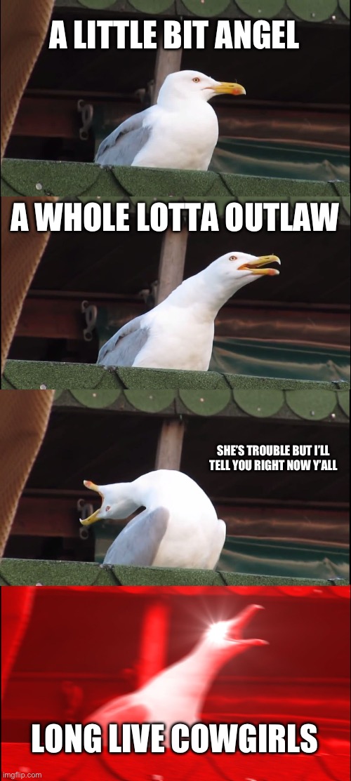 I discovered Morgan Wallen recently | A LITTLE BIT ANGEL; A WHOLE LOTTA OUTLAW; SHE’S TROUBLE BUT I’LL TELL YOU RIGHT NOW Y’ALL; LONG LIVE COWGIRLS | image tagged in memes,inhaling seagull,morgan wallen,country music,shitpost,music | made w/ Imgflip meme maker