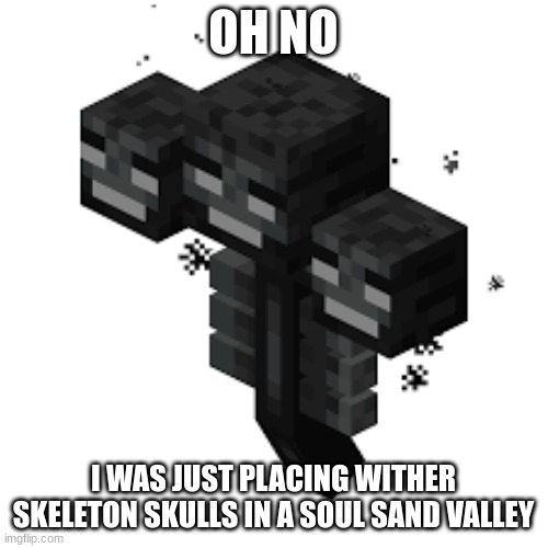 wither | OH NO I WAS JUST PLACING WITHER SKELETON SKULLS IN A SOUL SAND VALLEY | image tagged in wither | made w/ Imgflip meme maker