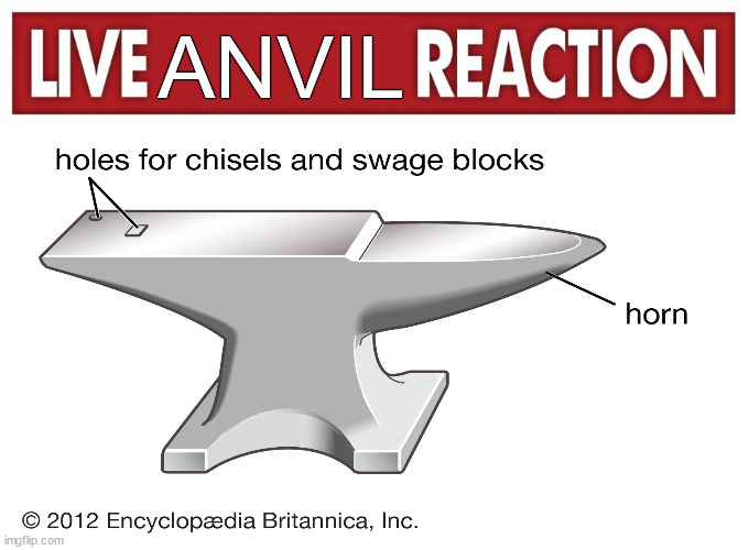 Live reaction | ANVIL | image tagged in live reaction | made w/ Imgflip meme maker