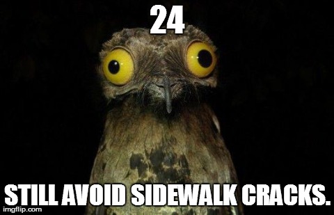 Weird Stuff I Do Potoo | 24 STILL AVOID SIDEWALK CRACKS. | image tagged in crazy eyed bird,AdviceAnimals | made w/ Imgflip meme maker
