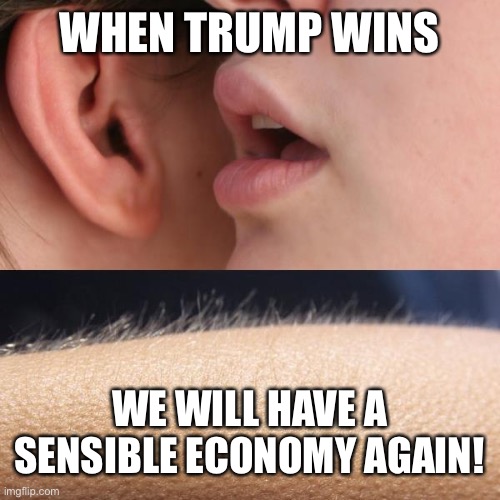 Beat the Cheat | WHEN TRUMP WINS; WE WILL HAVE A SENSIBLE ECONOMY AGAIN! | image tagged in whisper and goosebumps | made w/ Imgflip meme maker