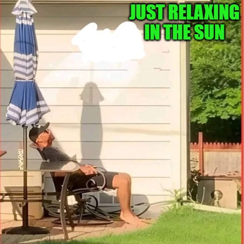 JUST RELAXING IN THE SUN | made w/ Imgflip meme maker