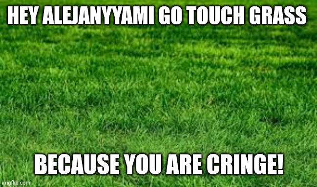 touching grass | HEY ALEJANYYAMI GO TOUCH GRASS BECAUSE YOU ARE CRINGE! | image tagged in touching grass | made w/ Imgflip meme maker