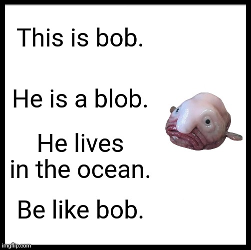 Be Like Bill | This is bob. He is a blob. He lives in the ocean. Be like bob. | image tagged in memes,be like bill | made w/ Imgflip meme maker