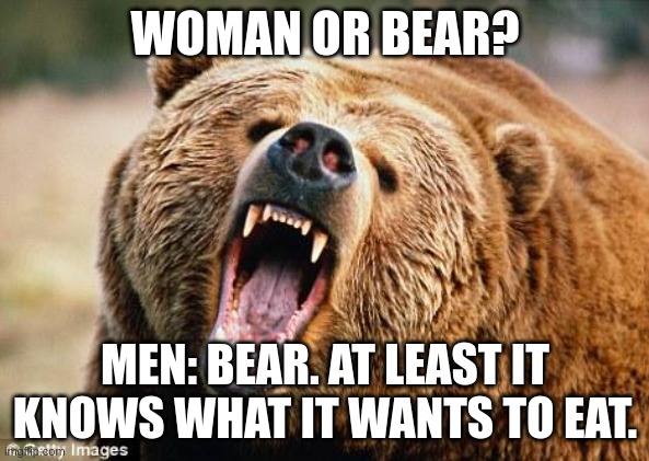 Choose: woman or bear? | WOMAN OR BEAR? MEN: BEAR. AT LEAST IT KNOWS WHAT IT WANTS TO EAT. | image tagged in angry bear,dating,bruh moment | made w/ Imgflip meme maker