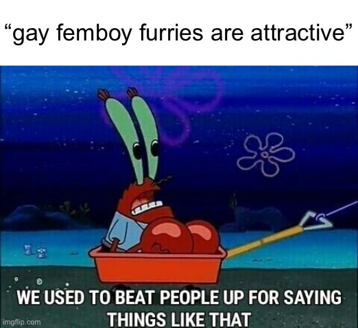 guh | “gay femboy furries are attractive” | image tagged in mr krabs we used to beat people up for saying things like that | made w/ Imgflip meme maker