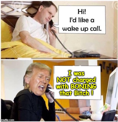 Two FULL DAYS of totally irrelevant prejudicial testimony | I was NOT charged with BONING that Bitch ! | image tagged in wake up call trump stormy meme | made w/ Imgflip meme maker