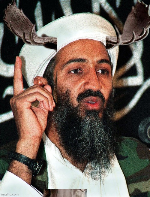 Mooseaman bin laden | made w/ Imgflip meme maker