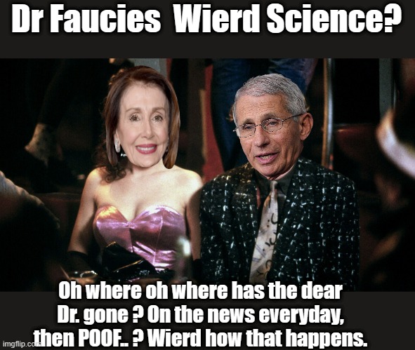 Retired to Epstein island ? | Dr Faucies  Wierd Science? Oh where oh where has the dear Dr. gone ? On the news everyday, then POOF.. ? Wierd how that happens. | image tagged in democrats,nwo | made w/ Imgflip meme maker