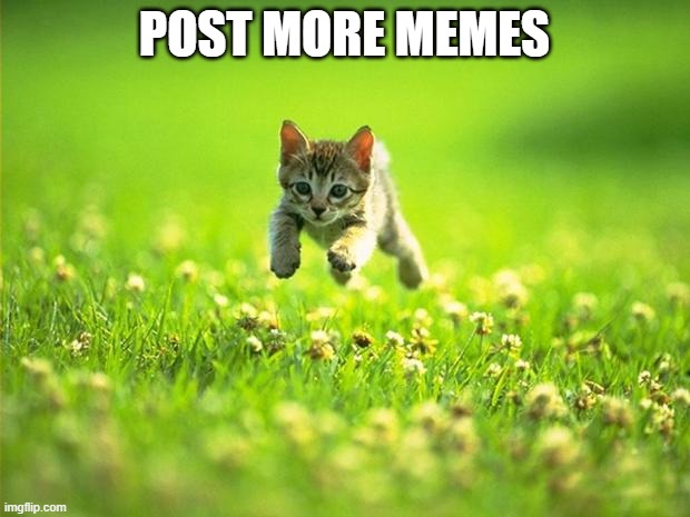 I require more memes. | POST MORE MEMES | image tagged in every time i smile god kills a kitten,post memes | made w/ Imgflip meme maker
