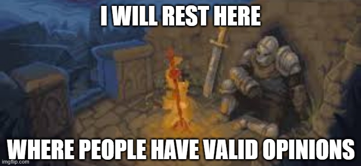 rest here traveler | I WILL REST HERE WHERE PEOPLE HAVE VALID OPINIONS | image tagged in rest here traveler | made w/ Imgflip meme maker