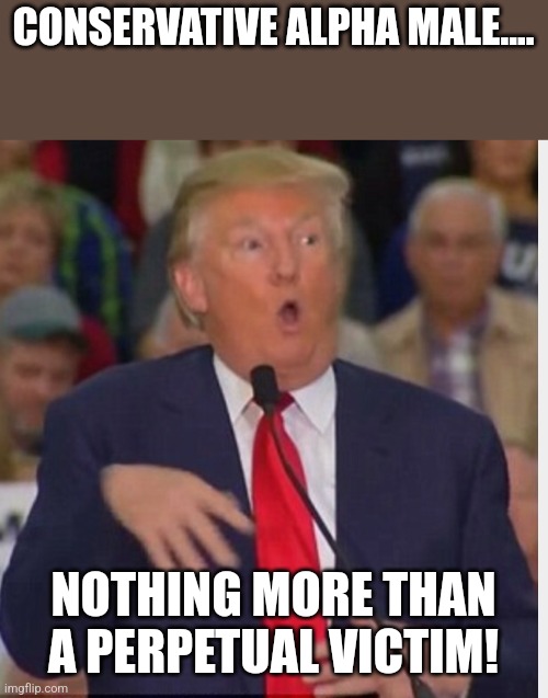 Ex pussident Trump | CONSERVATIVE ALPHA MALE.... NOTHING MORE THAN A PERPETUAL VICTIM! | image tagged in conservative,republican,nevertrump,democrat,maga,biden | made w/ Imgflip meme maker