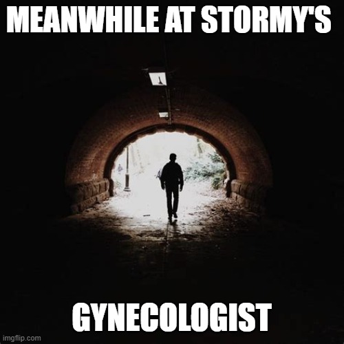 MEANWHILE AT STORMY'S GYNECOLOGIST | made w/ Imgflip meme maker