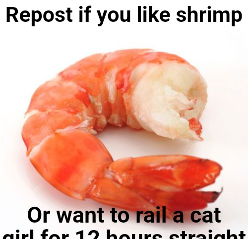 High Quality Repost if you like shrimp Blank Meme Template