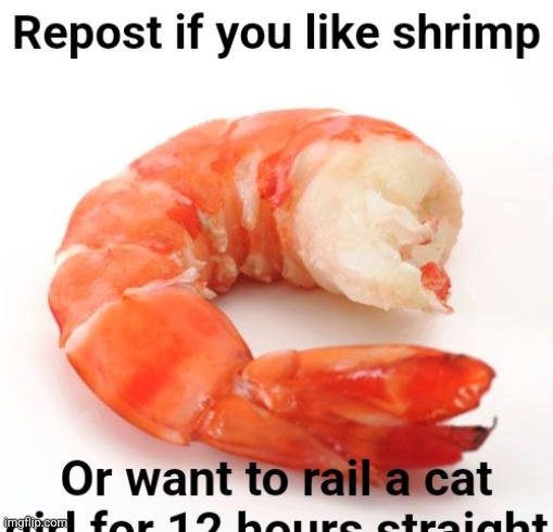 Repost if you like shrimp | image tagged in repost if you like shrimp,memes,funny | made w/ Imgflip meme maker
