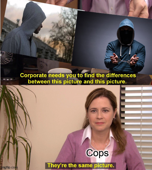 They're The Same Picture Meme | Cops | image tagged in memes,they're the same picture,criminals,criminal,hoodie,racism awareness | made w/ Imgflip meme maker