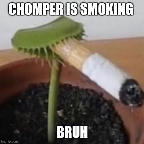 Epic pvz reference | CHOMPER IS SMOKING; BRUH | image tagged in plant smoking a cigarette | made w/ Imgflip meme maker