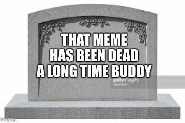 dead memes | THAT MEME HAS BEEN DEAD A LONG TIME BUDDY | image tagged in dead memes | made w/ Imgflip meme maker